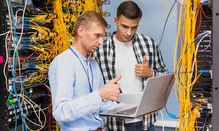 What does an IT manager do?